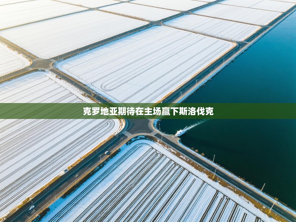 克罗地亚期待在主场赢下斯洛伐克 第2张