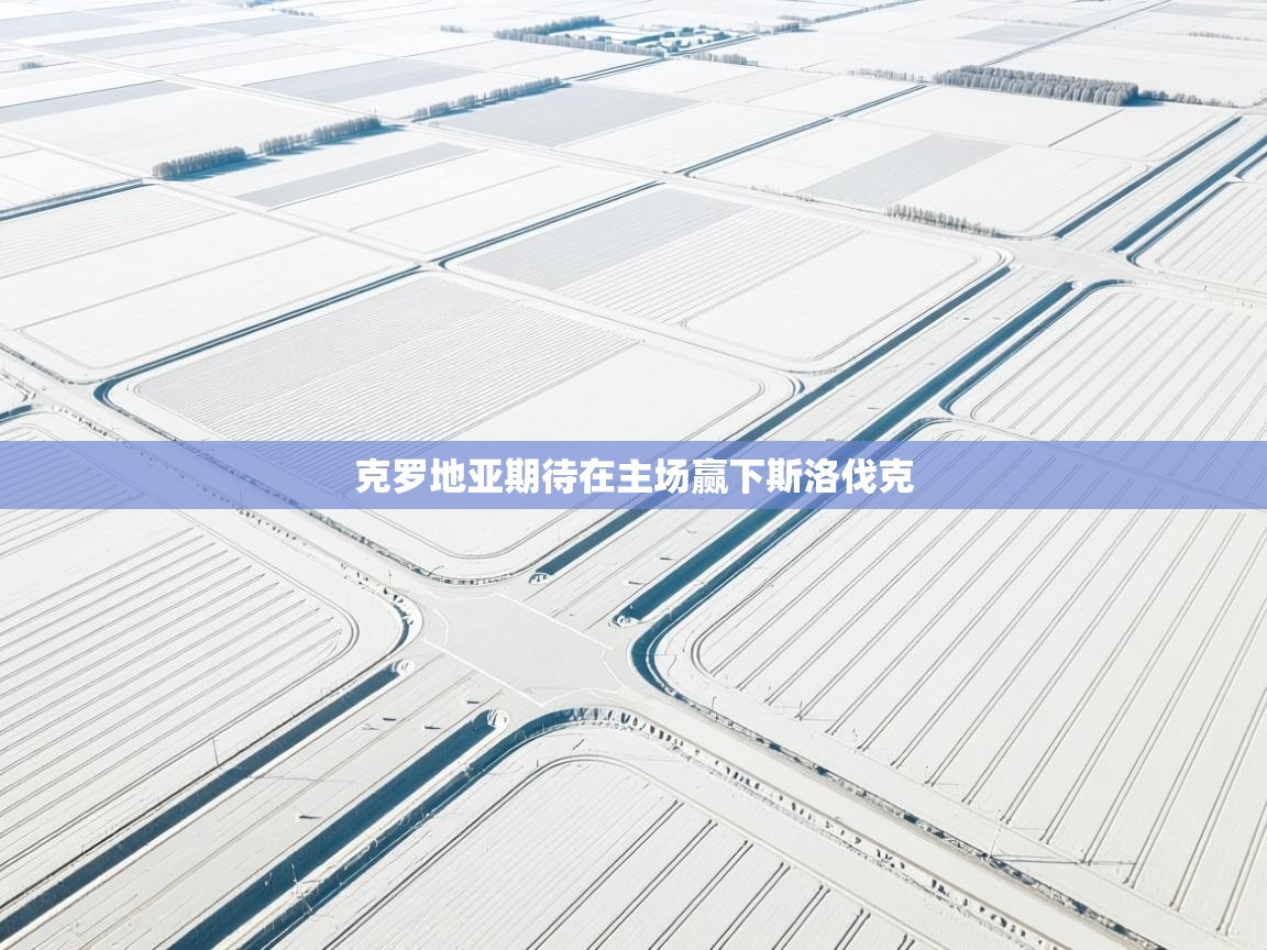 克罗地亚期待在主场赢下斯洛伐克 第1张